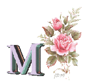 Gif animé merci